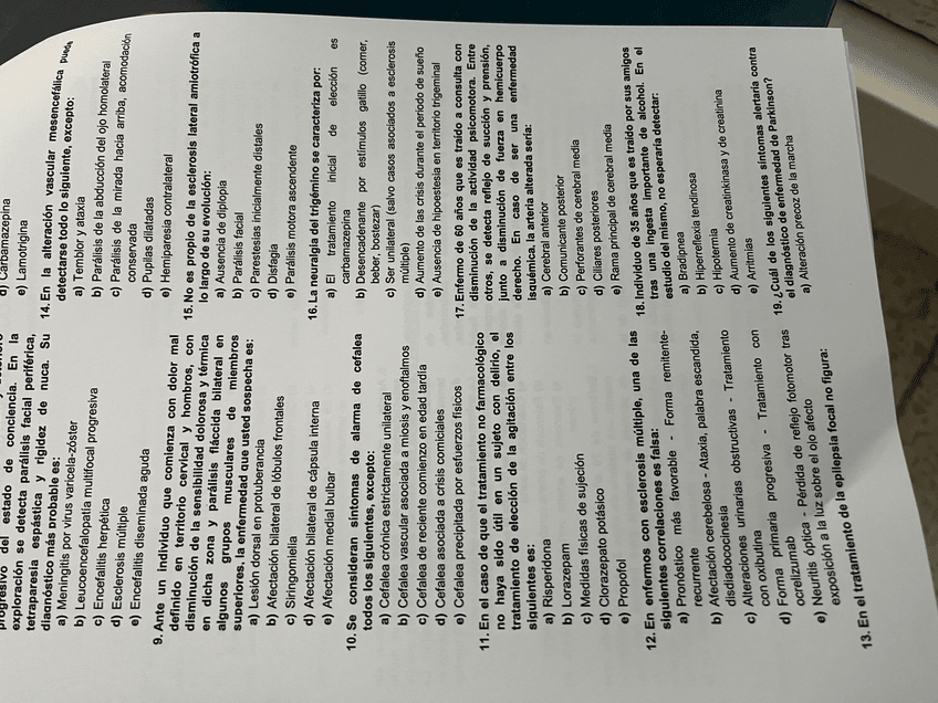 Miniatura del documento IMG9293.jpeg