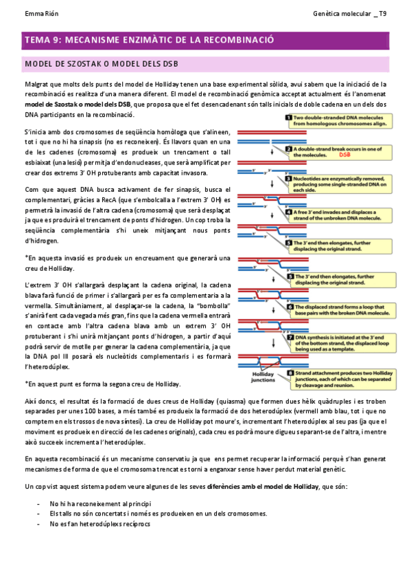 Miniatura del documento TEMA-9-genetica-molecular-W.pdf