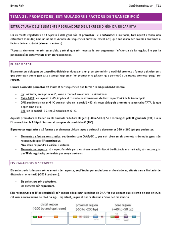 Miniatura del documento TEMA-21-genetica-molecular-W.pdf