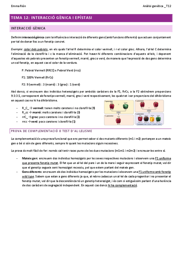 Miniatura del documento TEMA-12-analisi-genetica-W.pdf