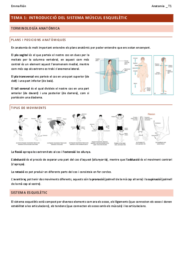 Miniatura del documento TEMA-1-anatomia.pdf
