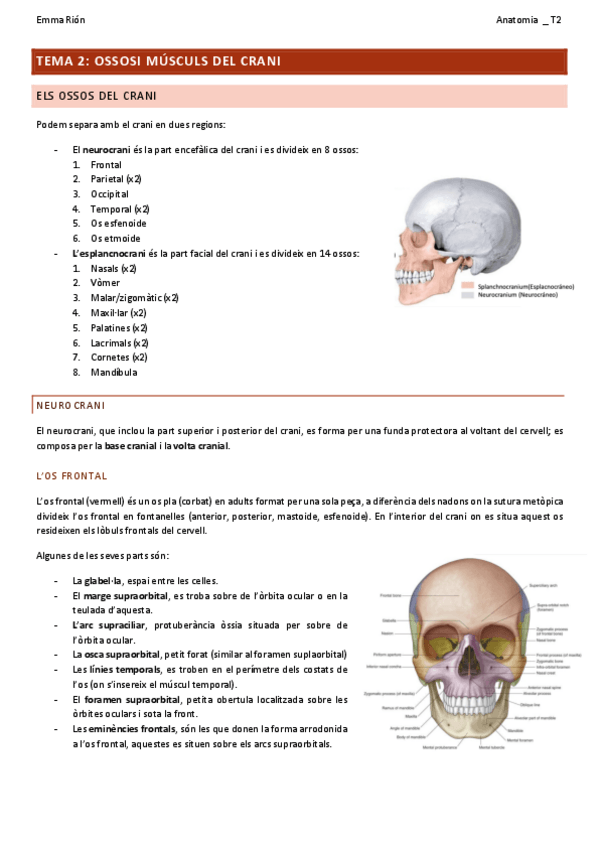 Miniatura del documento TEMA-2-anatomia.pdf