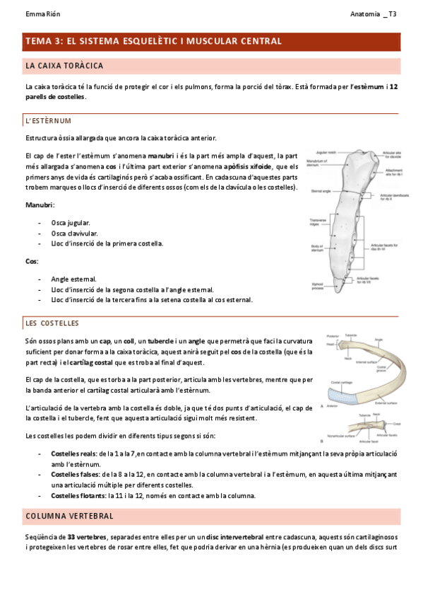 Miniatura del documento TEMA-3-anatomia.pdf