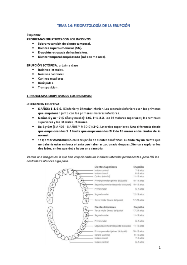 Miniatura del documento TEMA-14.pdf
