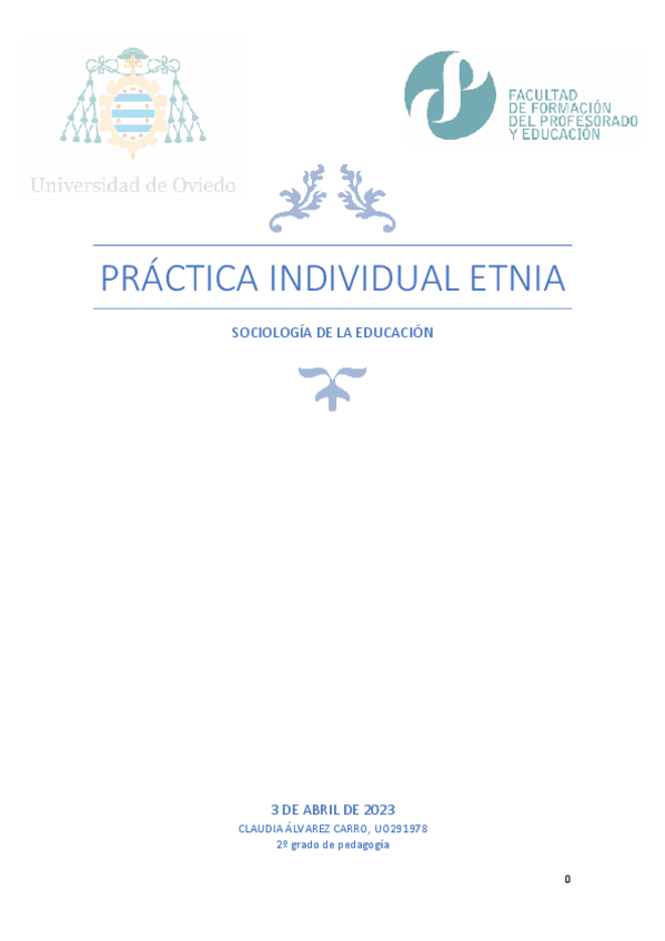 Miniatura del documento Practica-Individual-Etnia.pdf