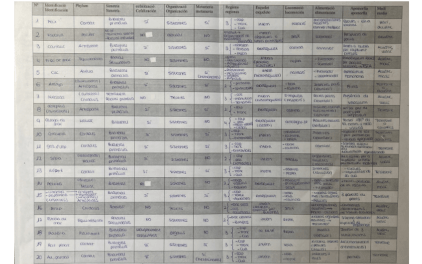 Miniatura del documento Tablas-laboratorio-zoologia.pdf
