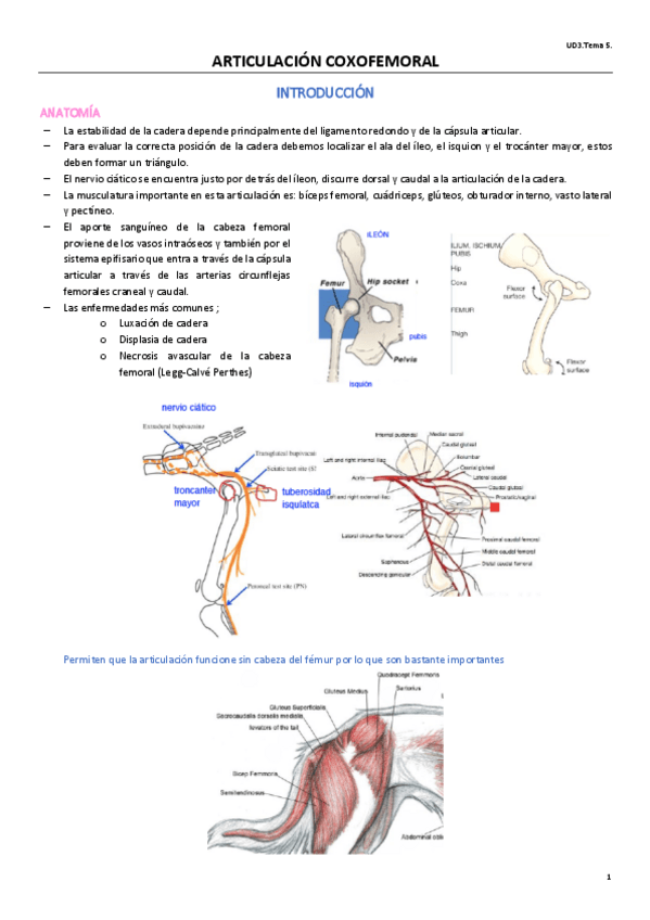 Miniatura del documento UD3T5CIRUGIA.pdf