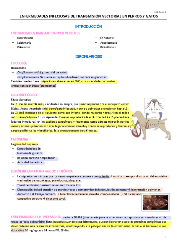 Miniatura del documento UD1.T2.pdf