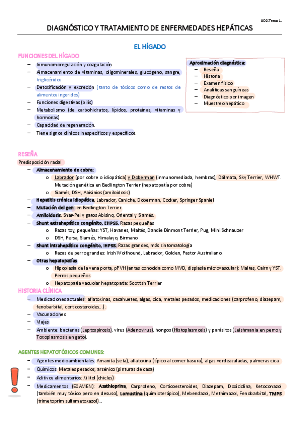 Miniatura del documento UD2.T1.pdf