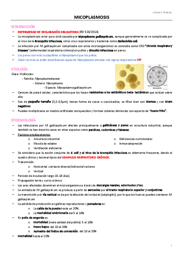 Miniatura del documento UD3TEMA-26.pdf