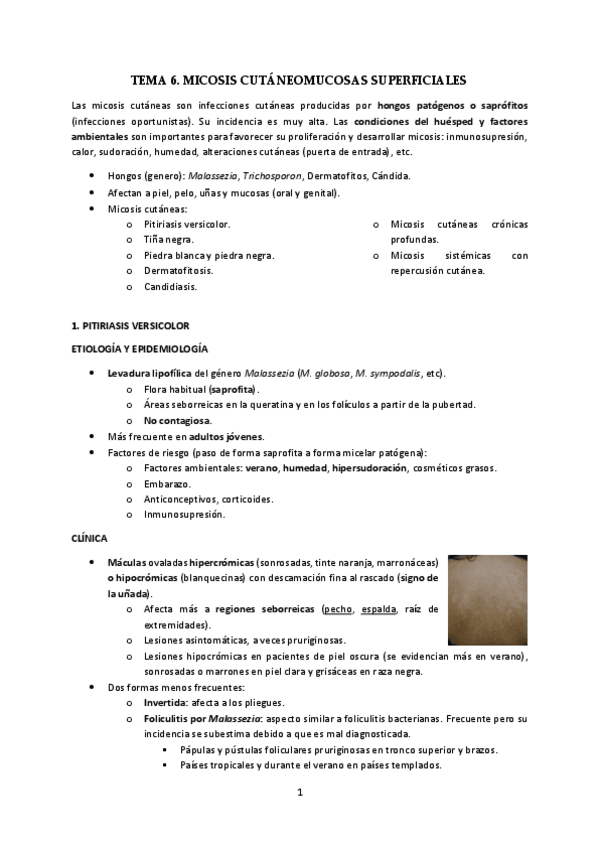 Miniatura del documento T6-Micosis-cutaneas.pdf