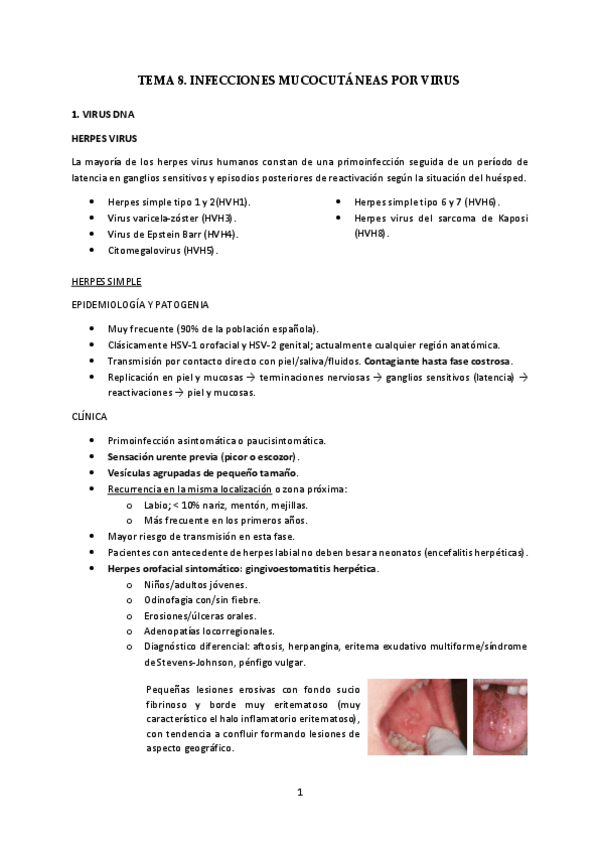 Miniatura del documento T8-Infecciones-mucocutaneas-por-virus.pdf
