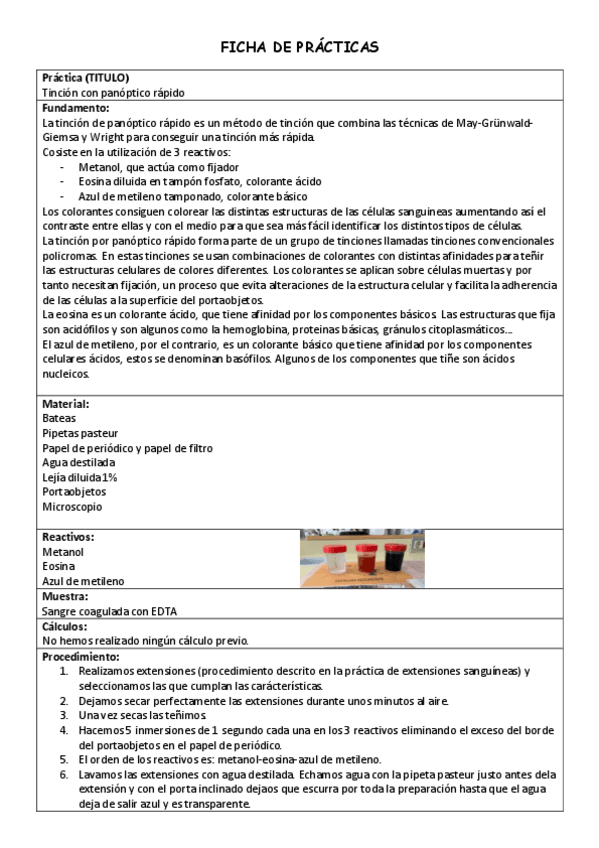 Miniatura del documento Practica-panoptico-rapido.pdf