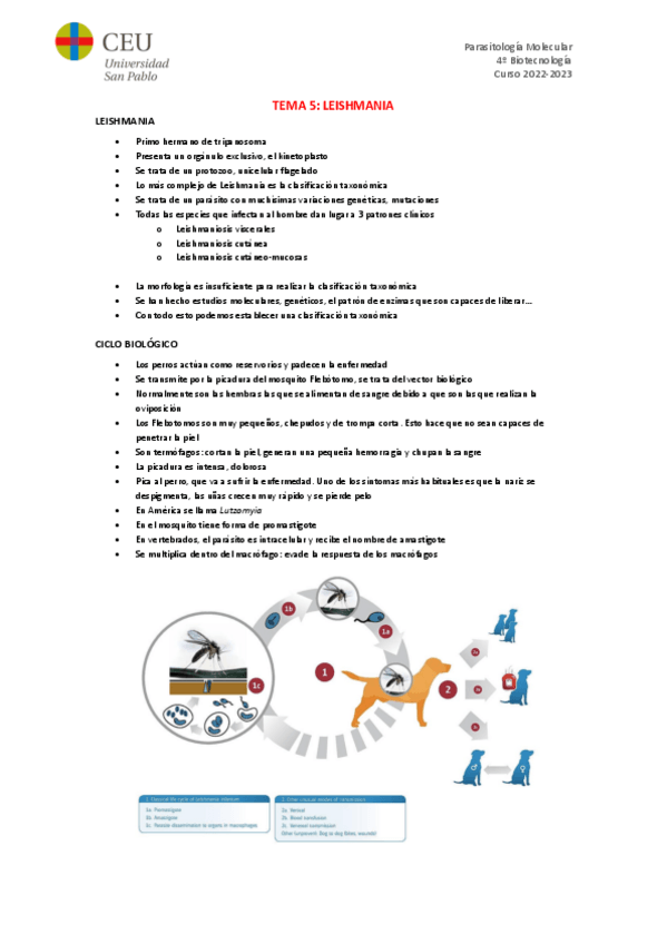 Miniatura del documento TEMA-5.pdf