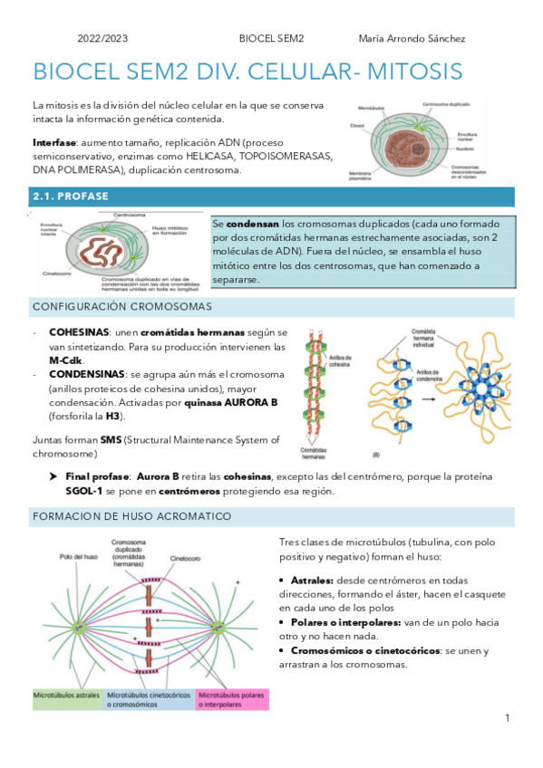 Miniatura del documento SEM2BIOCELMITOSIS.pdf