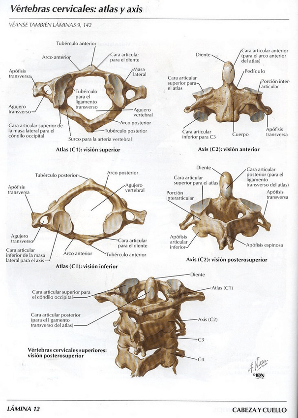 Miniatura del documento FOTO-3.pdf