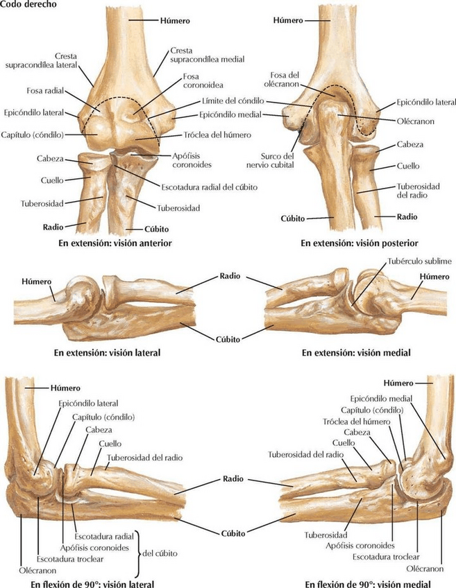 Miniatura del documento FOTO-4.pdf