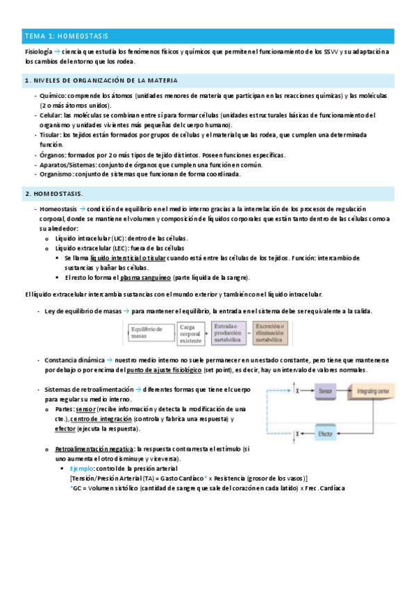 Miniatura del documento FISIO-1er-cuatri.pdf
