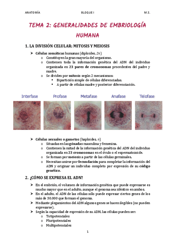 Miniatura del documento TEMA-2.pdf