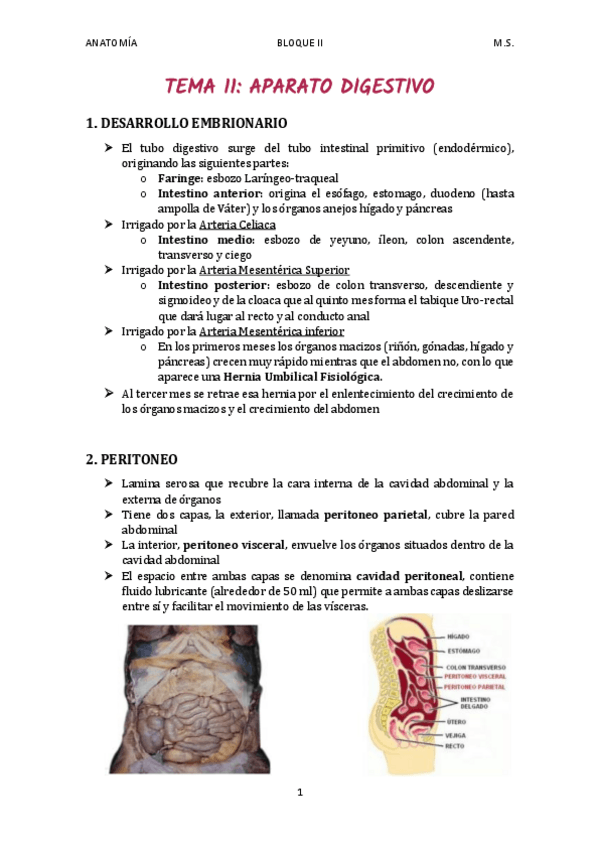 Miniatura del documento TEMA-11.pdf