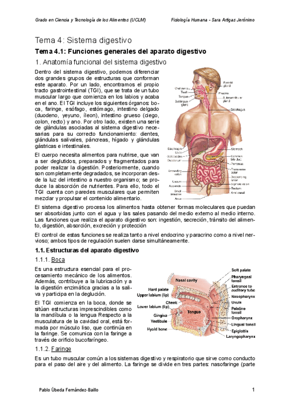 Miniatura del documento Apuntes-Tema-4-Sistema-digestivo.pdf