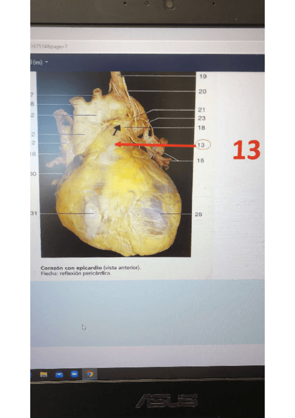 Miniatura del documento practico.pdf