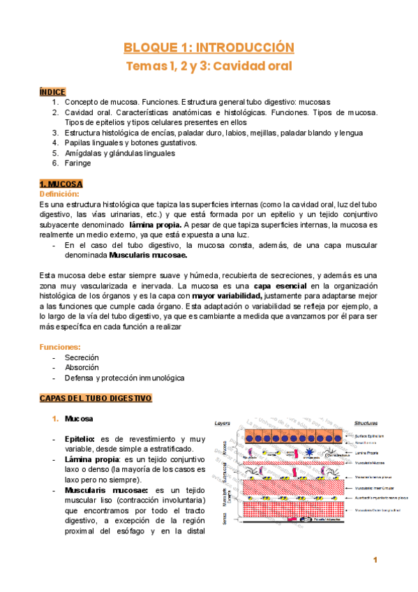 Miniatura del documento Bloque-1.-Introduccion..pdf