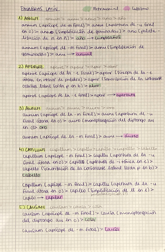 Miniatura del documento Evolucion-fonetica-latin-selectividad.pdf