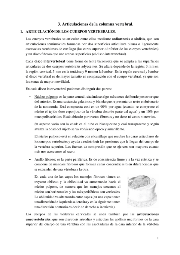 Miniatura del documento 3.-Articulaciones-de-la-columna-vertebral.pdf