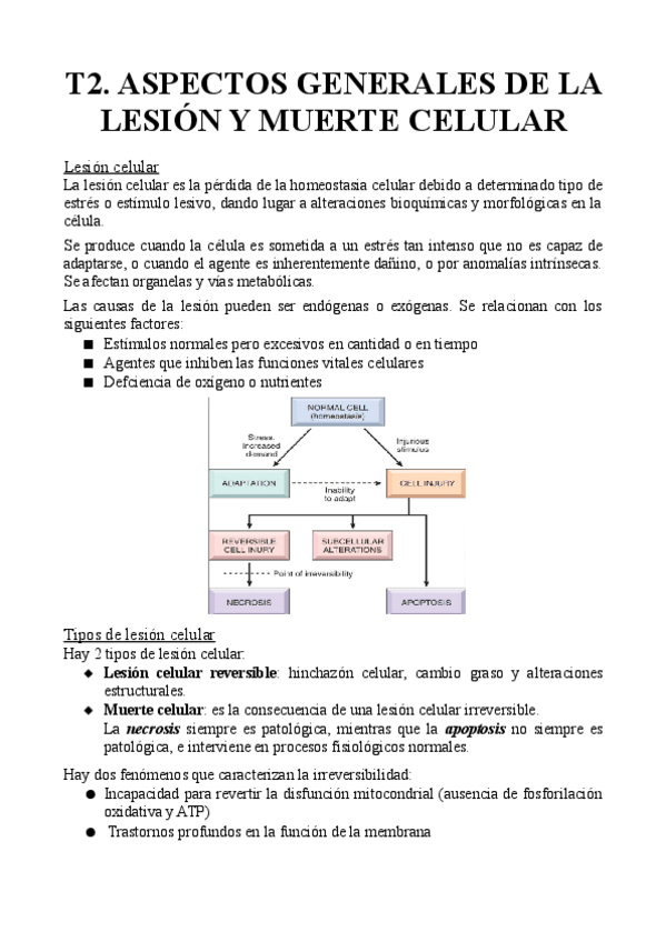 Miniatura del documento T2.-Aspectos-generales-de-la-lesion-y-muerte-celular.pdf