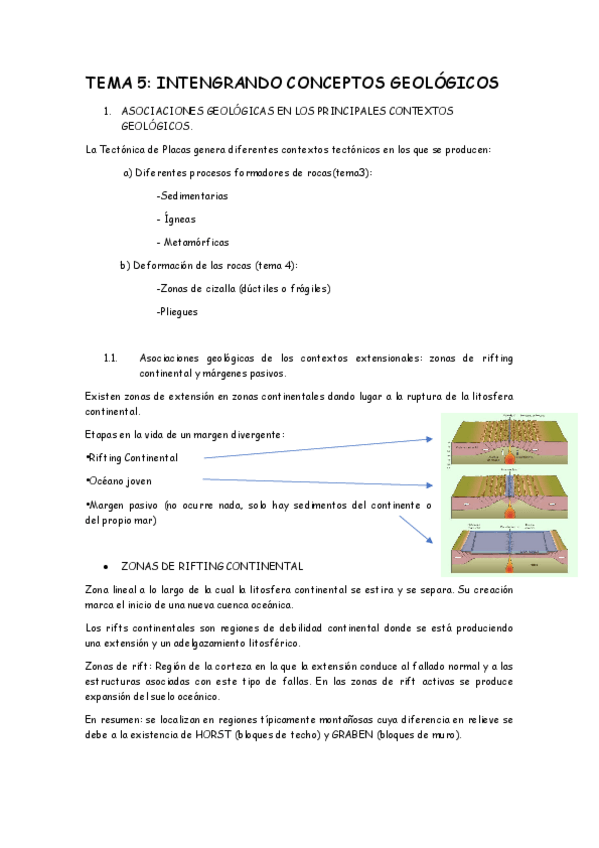 Miniatura del documento TEMA 5 geologia wuolah.pdf