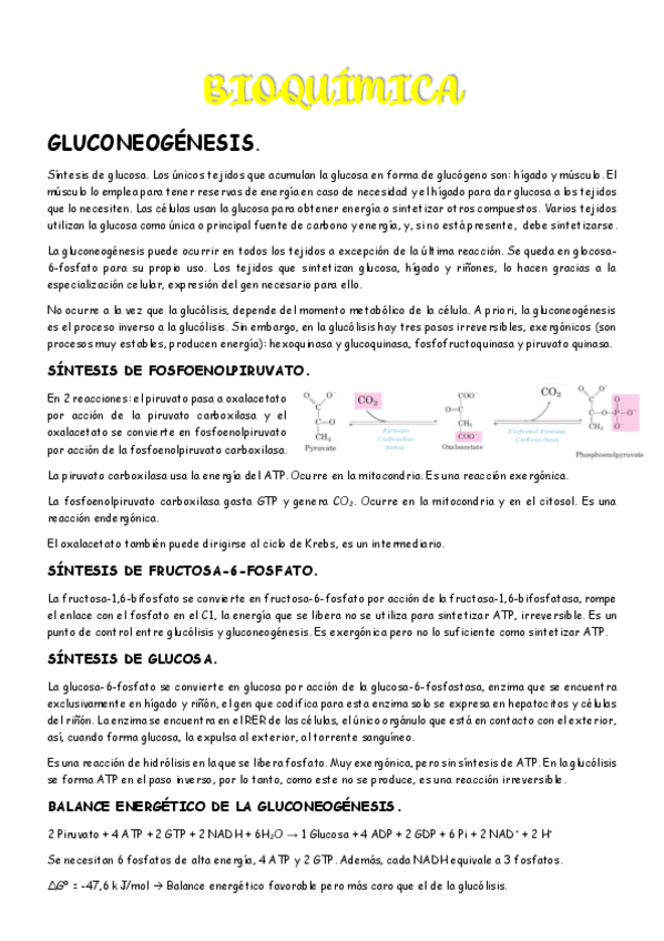 Miniatura del documento 2do-parcial-Bioquimica.pdf