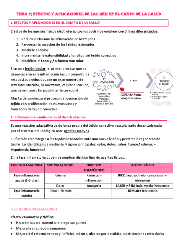 Miniatura del documento Tema-2-Efectos-y-aplicaciones-de-las-REM.pdf