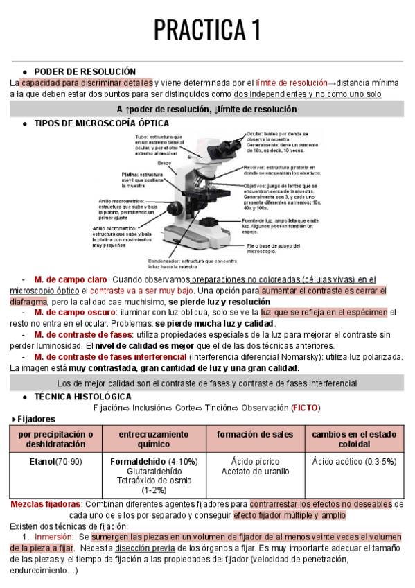 Miniatura del documento PRACTICA-1-c.pdf