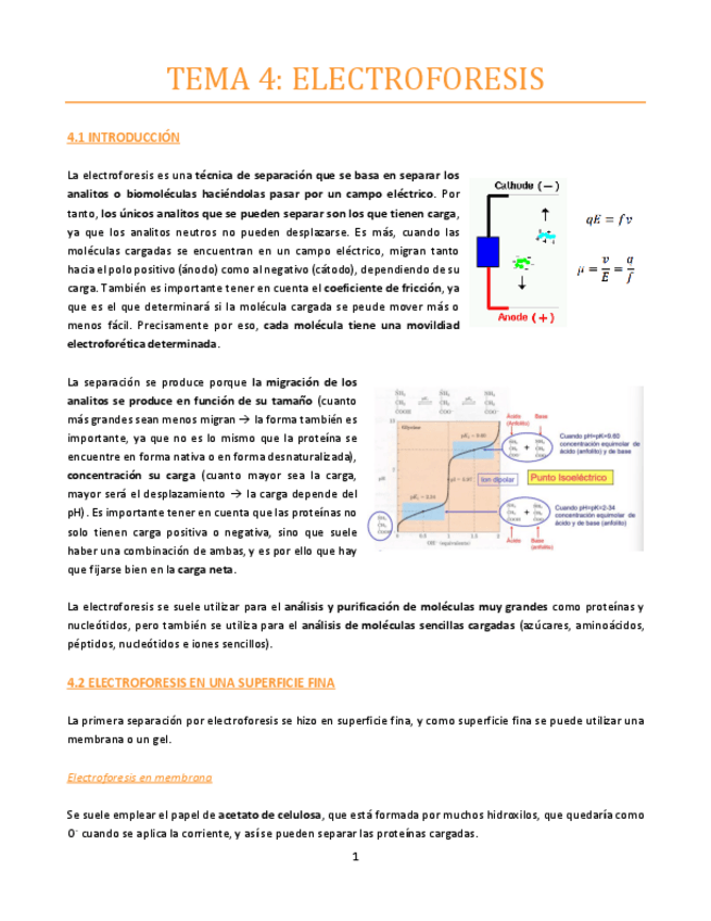 Miniatura del documento TEMA-4-bueno.pdf
