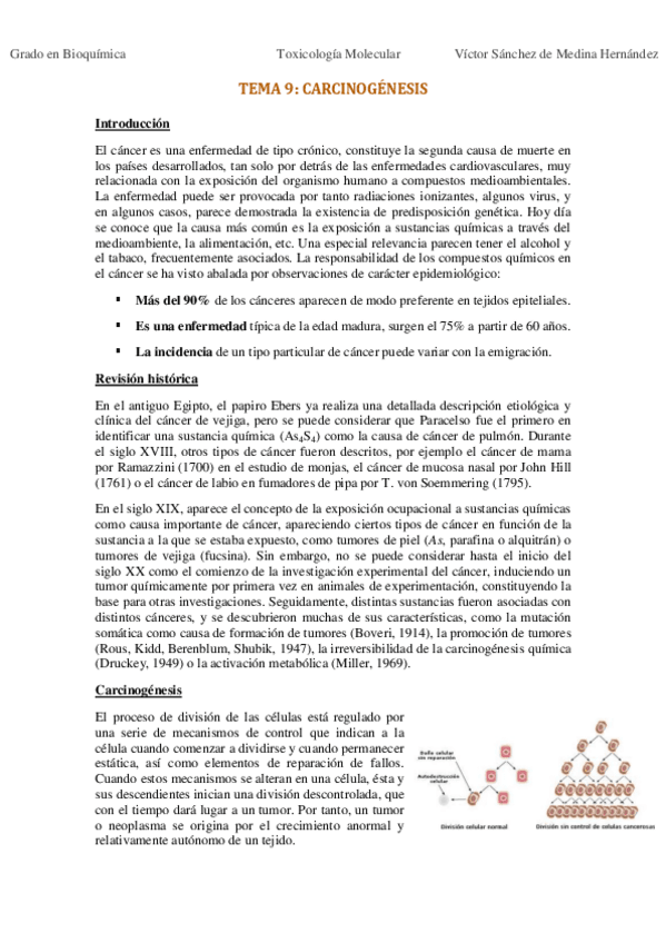 Miniatura del documento Tema 9 . Carcinogénesis VSM.pdf