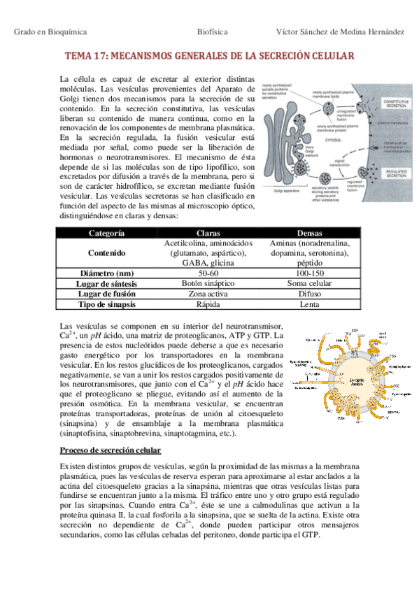 Miniatura del documento Bloque V. Secreción celular.pdf