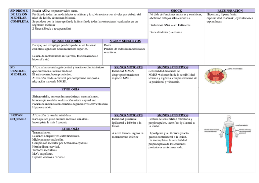 Miniatura del documento esquema-sindromes-medulares-TEMA-3.pdf
