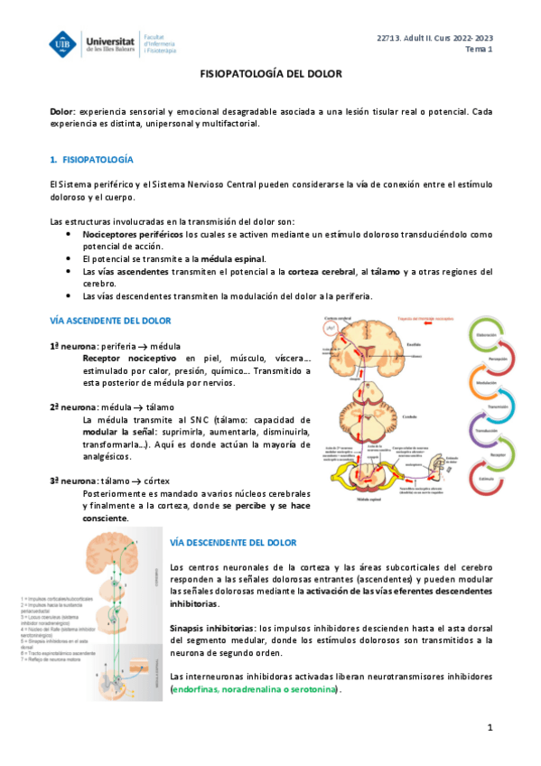 Miniatura del documento ADULT-II-TEMA-1.pdf