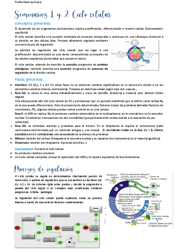 Miniatura del documento Seminarios-1-2.pdf