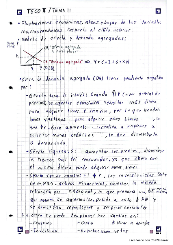 Miniatura del documento TECO-II-TEMA-11.pdf