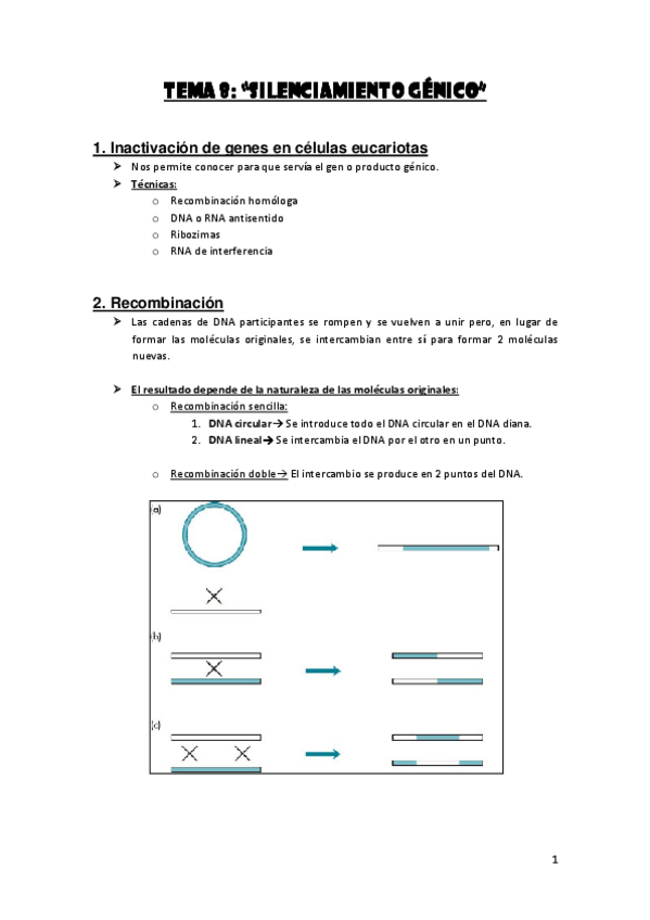Miniatura del documento Tema 8 (Silenciamiento génico).pdf