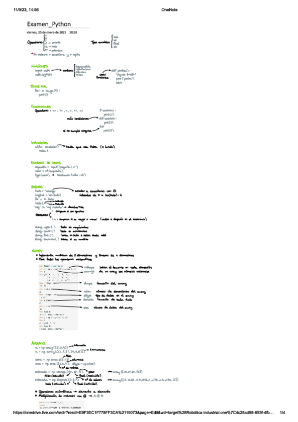Miniatura del documento ApuntesPython.pdf