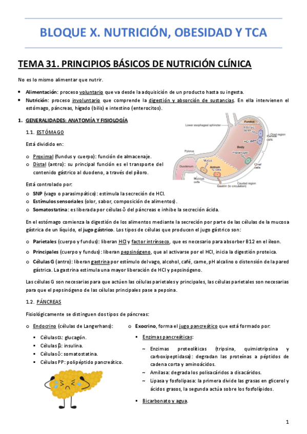 Miniatura del documento BLOQUE-X.-NUTRICION-OBESIDAD-Y-TCA.pdf