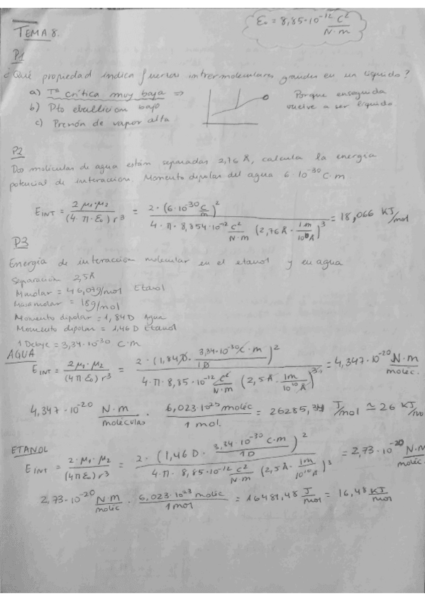 Miniatura del documento FFQ.pdf
