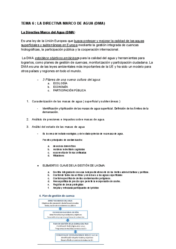 Miniatura del documento TEMA-6.pdf