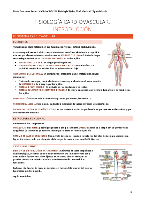 Miniatura del documento Cardio.pdf