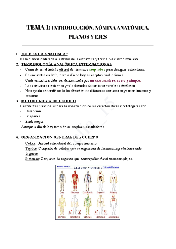 Miniatura del documento TEMA-1-INTRODUCCION-A-LA-ANATOMIA.pdf