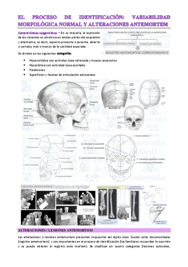 Miniatura del documento T11.pdf