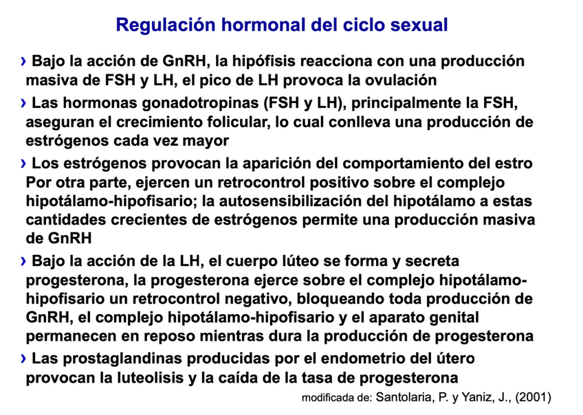 Miniatura del documento ciclo-sexual.pdf
